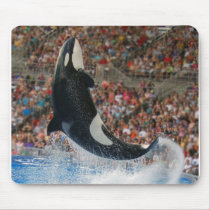 Killer whale jumping mousepad