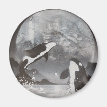 Killer Whale  Magnet magnets