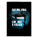 Killer Whale - Orca Greeting Card
