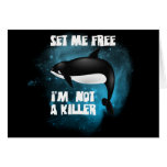 Killer Whale - Orca Greeting Card