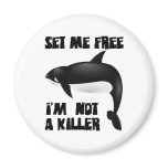Killer Whale - Orca Magnets