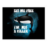 Killer Whale - Orca Post Cards
