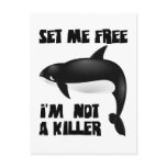 Killer Whale - Orca Postcard