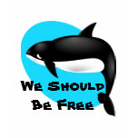 Killer Whale - Orca Tshirt