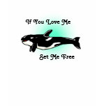 Killer Whale - Orca Tee Shirt