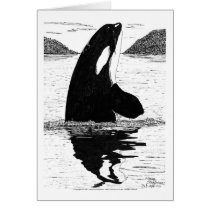 Killer Whale, Pen and Ink cards by dragling Killer Whale, Pen and Ink cards