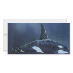 Killer Whale Photo Greeting Card