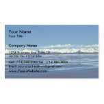 Killer Whale Pod Business Cards