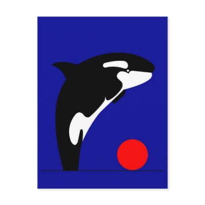 Killer Whale Post Card by lonvig