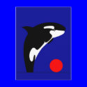 Killer Whale postcards