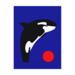 Killer Whale Post Card