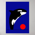 Killer Whale posters