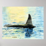 "Killer Whale" posters