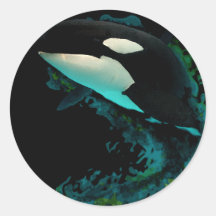 Killer Whale Round Sticker