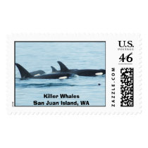 Killer Whale Stamps