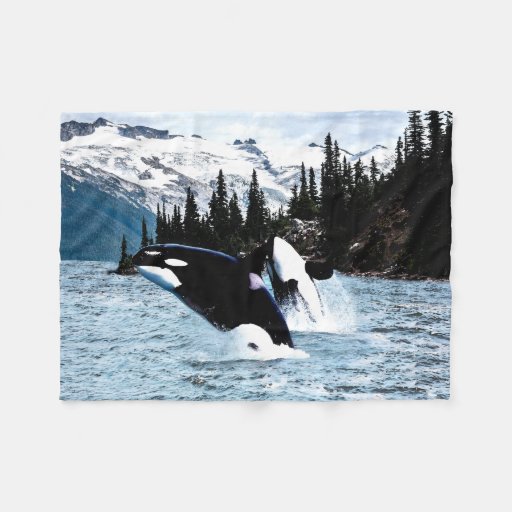Killer Whales Fleece Blanket | Zazzle