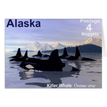 Killer Whales cards