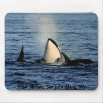 Killer whales in the San Juans mousepads by traciwalterwa Killer whales in the San Juans mousepads
