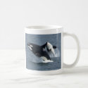 killer whales mugs by DolphinHeart killer whales mugs