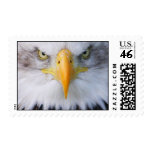 Killing For Survival Postage Stamps
