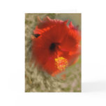 Killing Me Softly Greeting Card