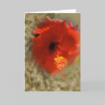 Killing Me Softly Greeting Card