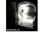 Kim Elizabeth T-shirt, "Dungeon"