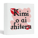 Kimi o ai shiteru - Japanese I love you