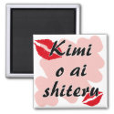 Kimi o ai shiteru - Japanese I love you