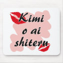 Kimi o ai shiteru - Japanese I love you