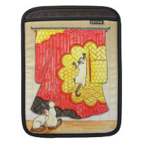 Kimono Mischief rickshaw sleeves