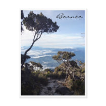 kinabalu view tree postcards