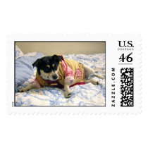 Kinda Cold Out postage by htang10567 Kinda Cold Out postage