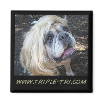 Kinda Like That (Bulldog) magnets by switz1873 Kinda Like That (Bulldog) magnets