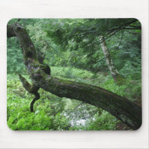 Kinda weird old tree in a bog mousepads