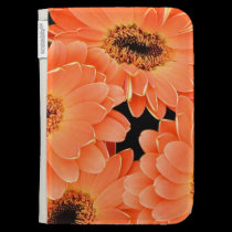 Kindle Case, Orange African Daisies caseable cases