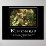 Kindness Posters