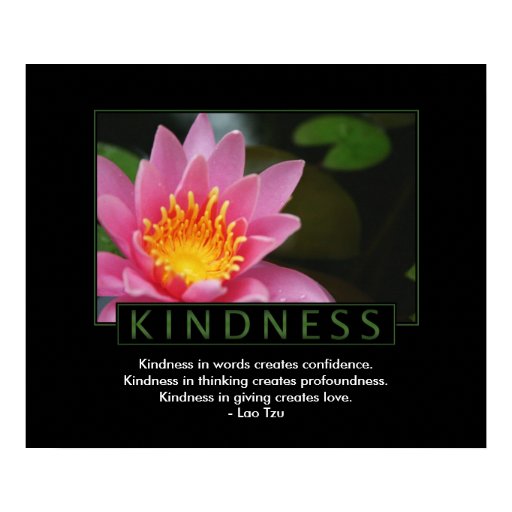 Kindness Poster Zazzle
