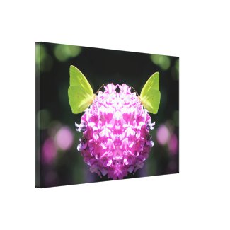 Kindred Spirits Butterfly Photography Art Print Canvas Print