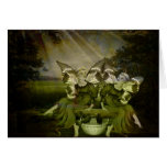 Kindred Spirits Cards