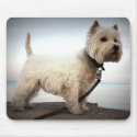 King Barko mousepads by ycarns King Barko mousepads