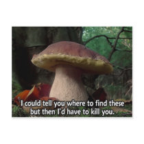 King Bolete - I'd Have to Kill You Postcards