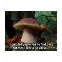 King Bolete - I'd Have to Kill You t-shirts