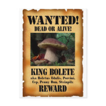 King Bolete - Wanted Dead or Alive Postcard