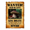 King Bolete - Wanted Dead or Alive posters