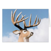 KING BUCK cards by MHENRIKSON KING BUCK cards