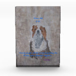 King Cavalier Spaniel Awards