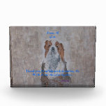King Cavalier Spaniel Awards
