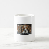 KING CHARLES CAVALIER MUG mugs