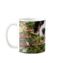 King Charles Cavalier Spaniel Mug by cdcootie King Charles Cavalier Spaniel Mug